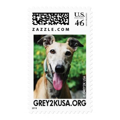 GREY2K USA Education Fund Postage by grey2kusa