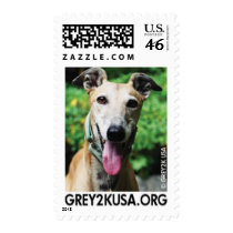 GREY2K USA Education Fund Postage postage