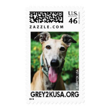 GREY2K USA Education Fund Postage