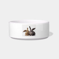 Grey and Brown Bunny Rabbits Pet Bowl Cat Water Bowls