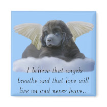 Grey Angel ~ I Believe Magnet