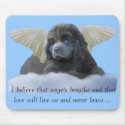 Grey Angel ~ I Believe mousepad