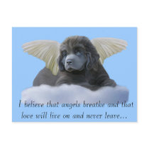 Grey Angel ~ I Believe postcards by Cazzies_Creations Grey Angel ~ I Believe postcards