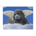 Grey Angel postcards