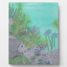 Grey Angelfish Blue Ocean Display Plaques