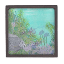 Grey Angelfish Blue Ocean Premium Gift Box