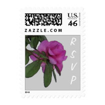 Grey Azalea RSVP Postage postage