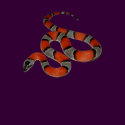 Grey-banded Kingsnake t-shirts by reptilegeeks Grey-banded Kingsnake t-shirts