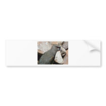 grey bird bumper sticker