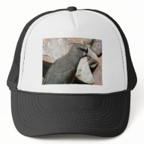 grey bird trucker hat