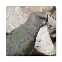 grey bird refrigerator magnets