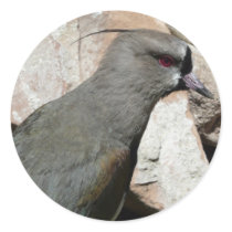 grey bird round stickers
