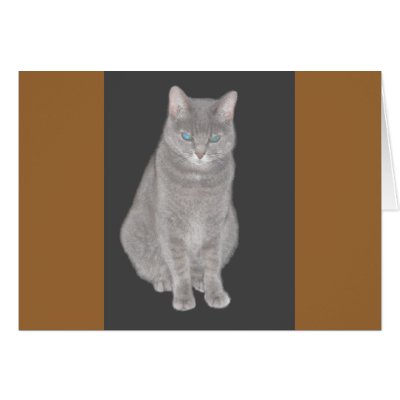 Grey Cat Card