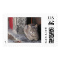 Grey Cat postage