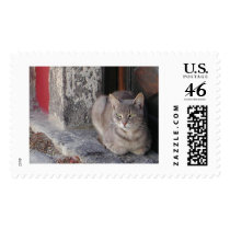 Grey Cat postage