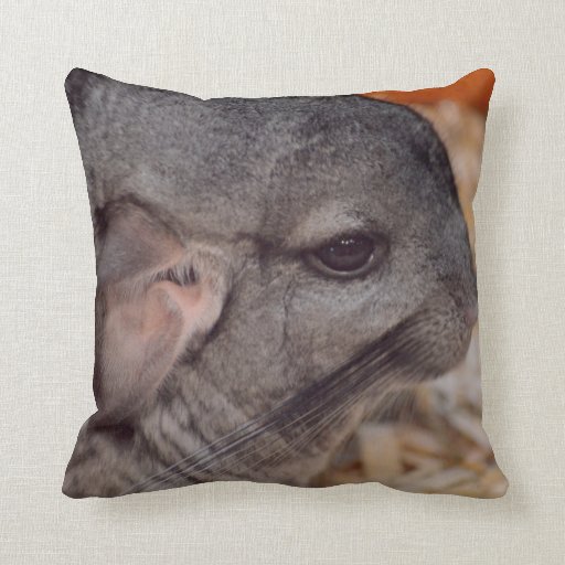 grey chinchilla side head view animal pillow Zazzle