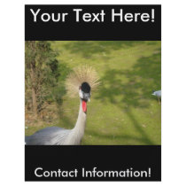 Grey Crowned Crane Flyers