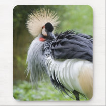 Grey Crowned Crane Mousepad by SabineSt Grey Crowned Crane Mousepad