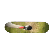 Grey Crowned Crane Skateboard Deck