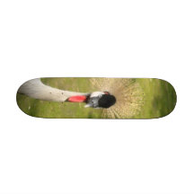Grey Crowned Crane Skateboard Deck