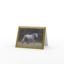 Grey Dales mare notecard