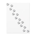 grey dog paws postcards