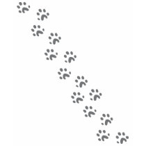 grey dog paws t-shirts by Tomaniac grey dog paws t-shirts