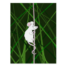 Grey field mouse in the tall grass post cards