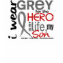 Grey For My Hero 2 Son Brain Cancer Shirts