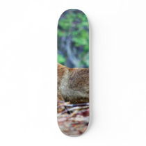 Grey Fox skateboards by lifesphere Grey Fox skateboards