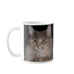 Grey Furry Cat on Coffee Cup mugs