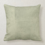 Grey Green Distressed Pillow