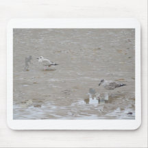 Grey Guys And Gulls Mousepad