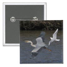 Grey Heron Air Battle Pins