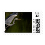 Grey Heron Postage