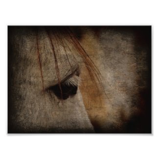 Grey Horse Face Grunge zazzle_photoenlargement