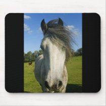 Grey horse mousepads