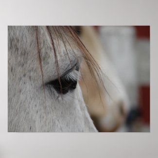 Grey Horse print