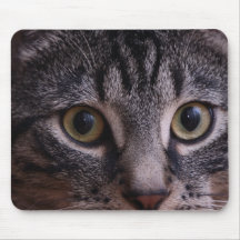Grey Kitten Face 2 Mouse Pads