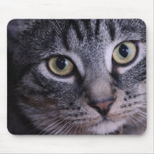 Grey Kitten Face Mouse Pads