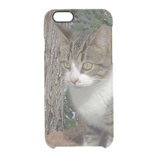 Grey Kitty Cat Stalking Uncommon Clearly™ Deflector iPhone 6 Case