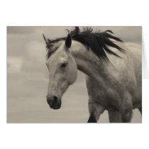 Grey Mare cards by laughingllamastudio Grey Mare cards
