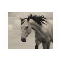 Grey Mare posters by laughingllamastudio Grey Mare posters