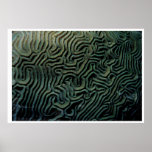 GREY MATTER posters