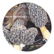 Grey Morels, Morel Mushrooms stickers