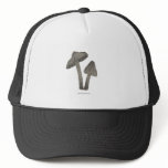 Grey Mushrooms Hat