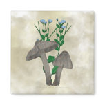 Grey Mushrooms with Flax Magnets