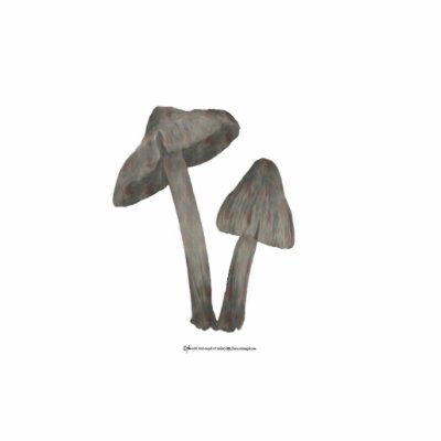 Grey Mushrooms with Flax Sculpture Cut Outs by Rockangel1