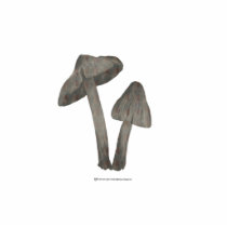 Grey Mushrooms with Flax Sculpture photo sculptures