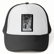 Grey Pack Wolf Alpha Wildlife Art Hat